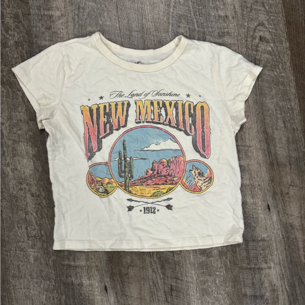 Hollister Cropped Graphic Tee Trendy Festival Sz S